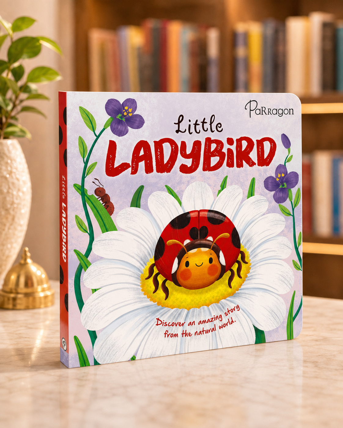 Baby & Toddler Books at Brain Chapters: Little Ladybird