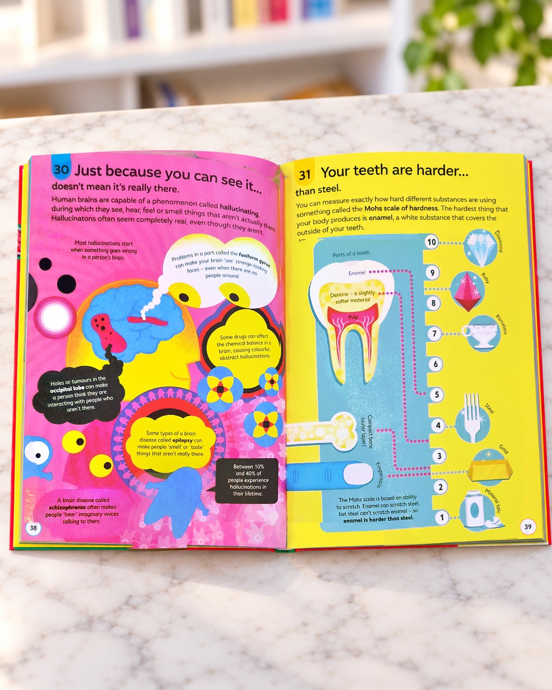 100 Things to Know About the Human Body, inside pages 2