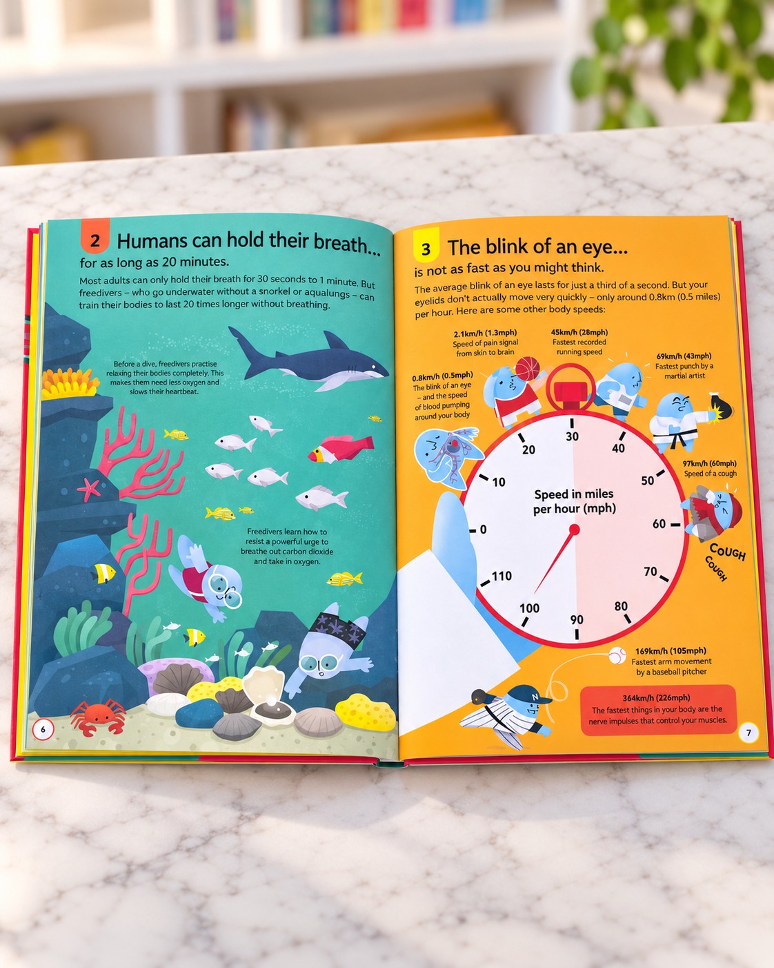 100 Things to Know About the Human Body, inside pages 1