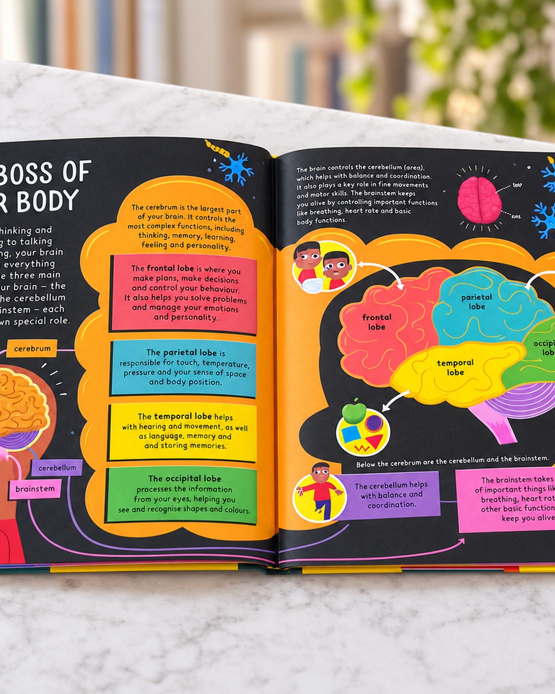 All Brains Are Wonderful, inside pages 2