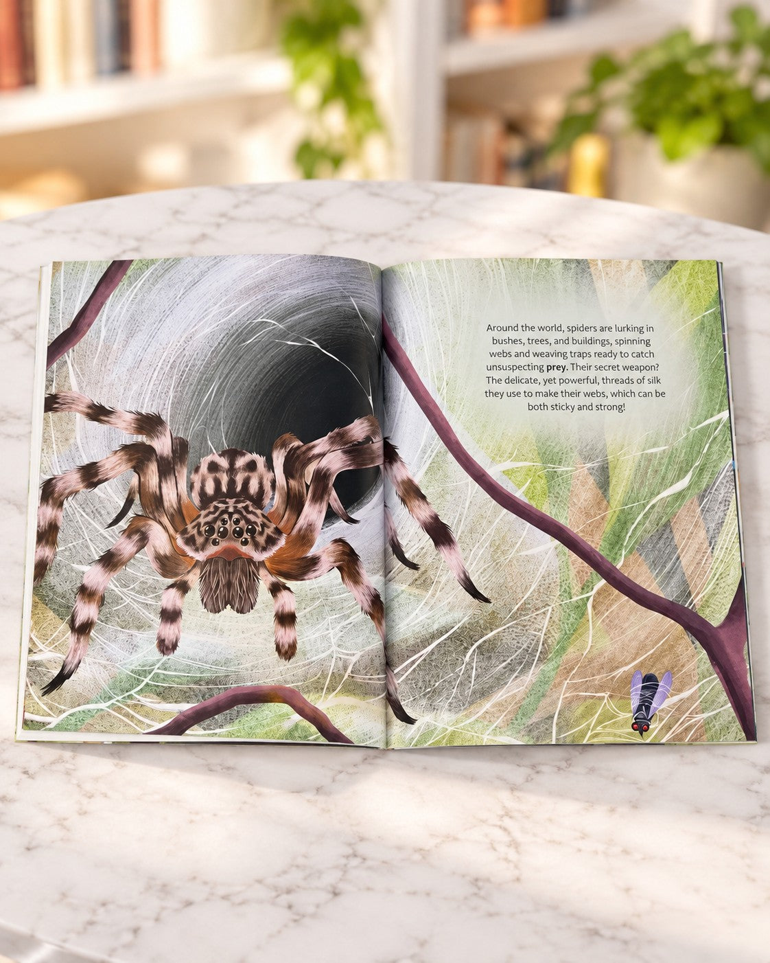 Are Spider Webs Stronger than Steel?, inside pages 1