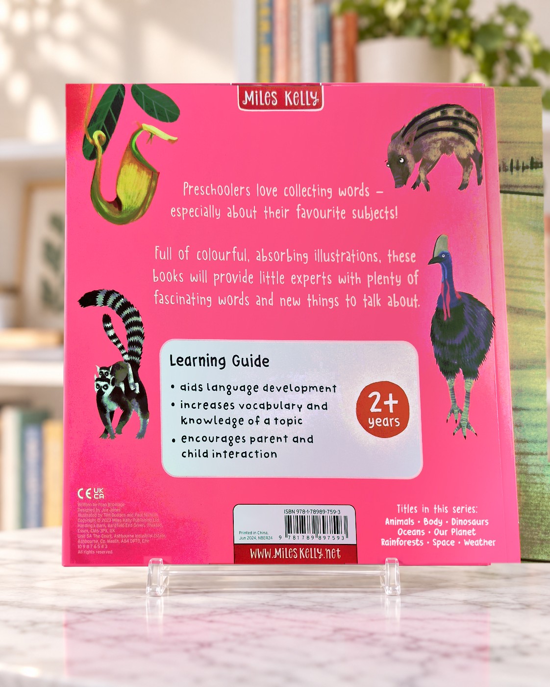 Big Words for Little Experts: Rainforests, back cover