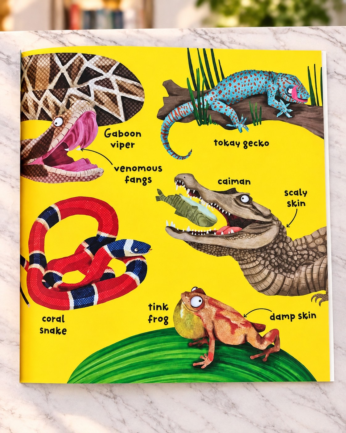 Big Words for Little Experts: Rainforests, inside page 2