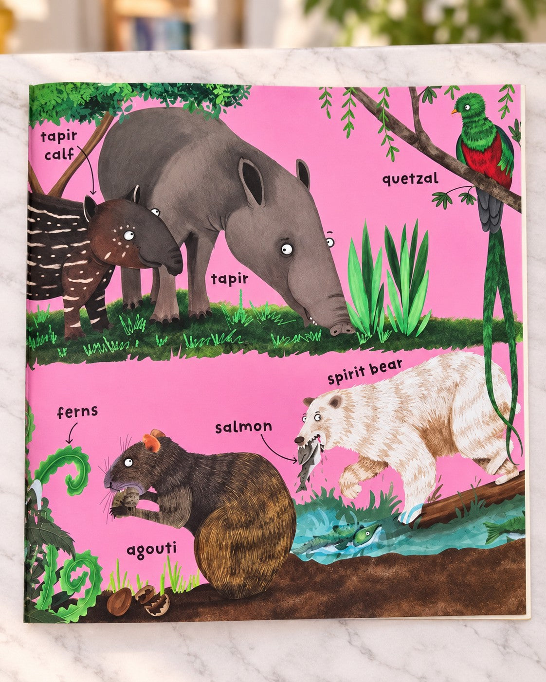 Big Words for Little Experts: Rainforests, inside page 1