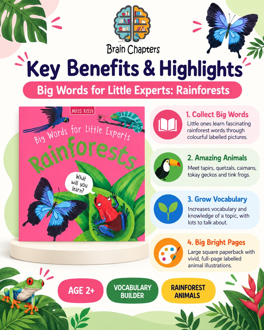 Key benefits and highlights of Big Words for Little Experts: Rainforests