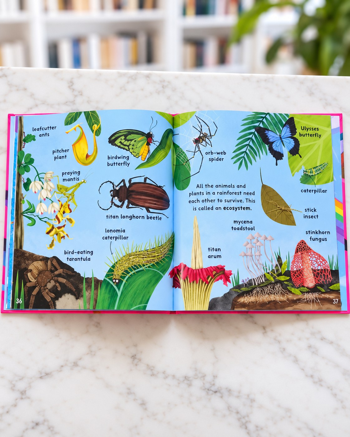 Clever Words for Little Experts, inside pages 2