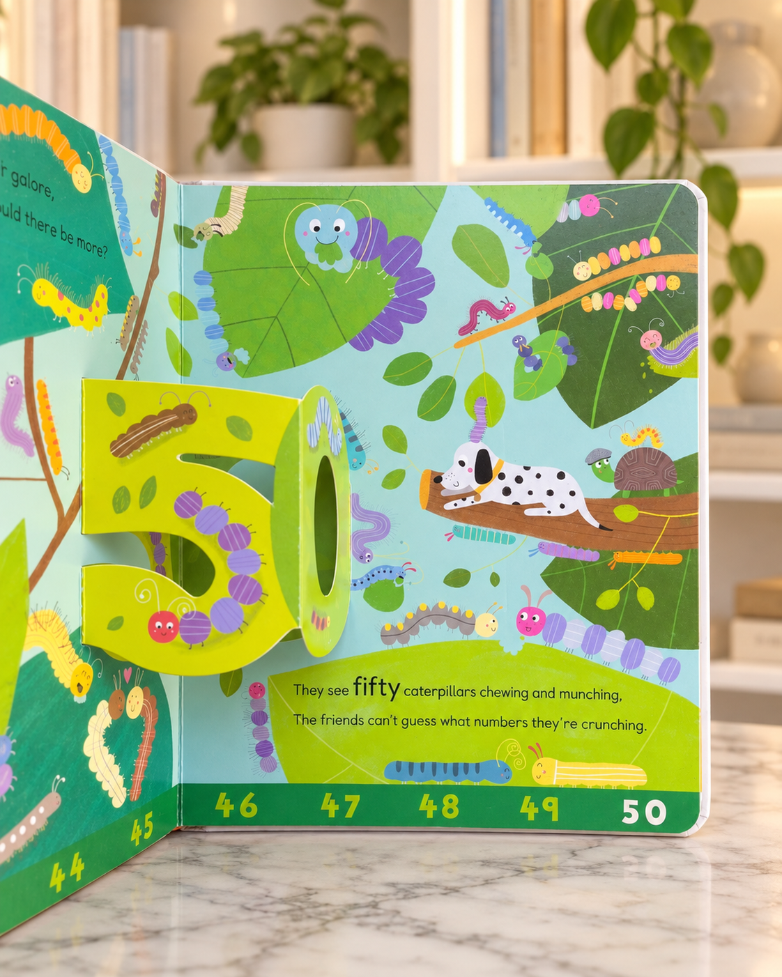 Dotty and Dash's 1, 2, 3, pop-up spread with number 50