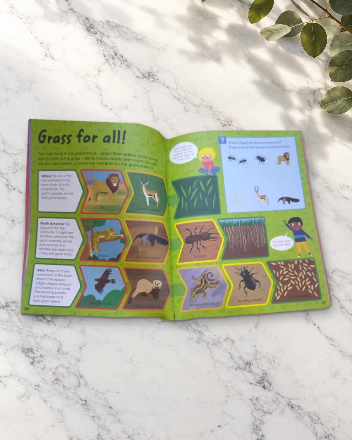 Factivity: Amazing Animals, inside pages