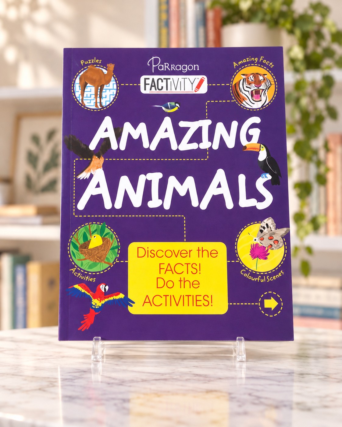 Factivity: Amazing Animals, front cover