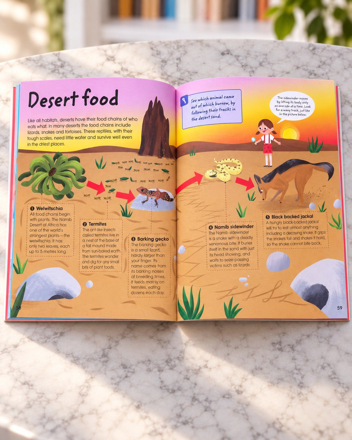 Factivity: Amazing Animals, inside pages