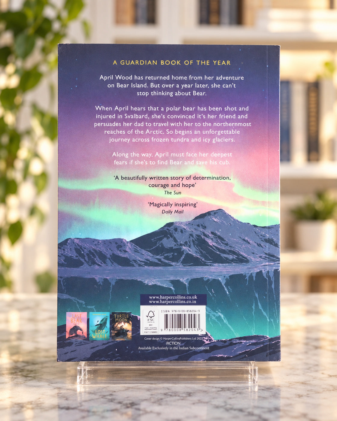 Finding Bear paperback novel, back cover