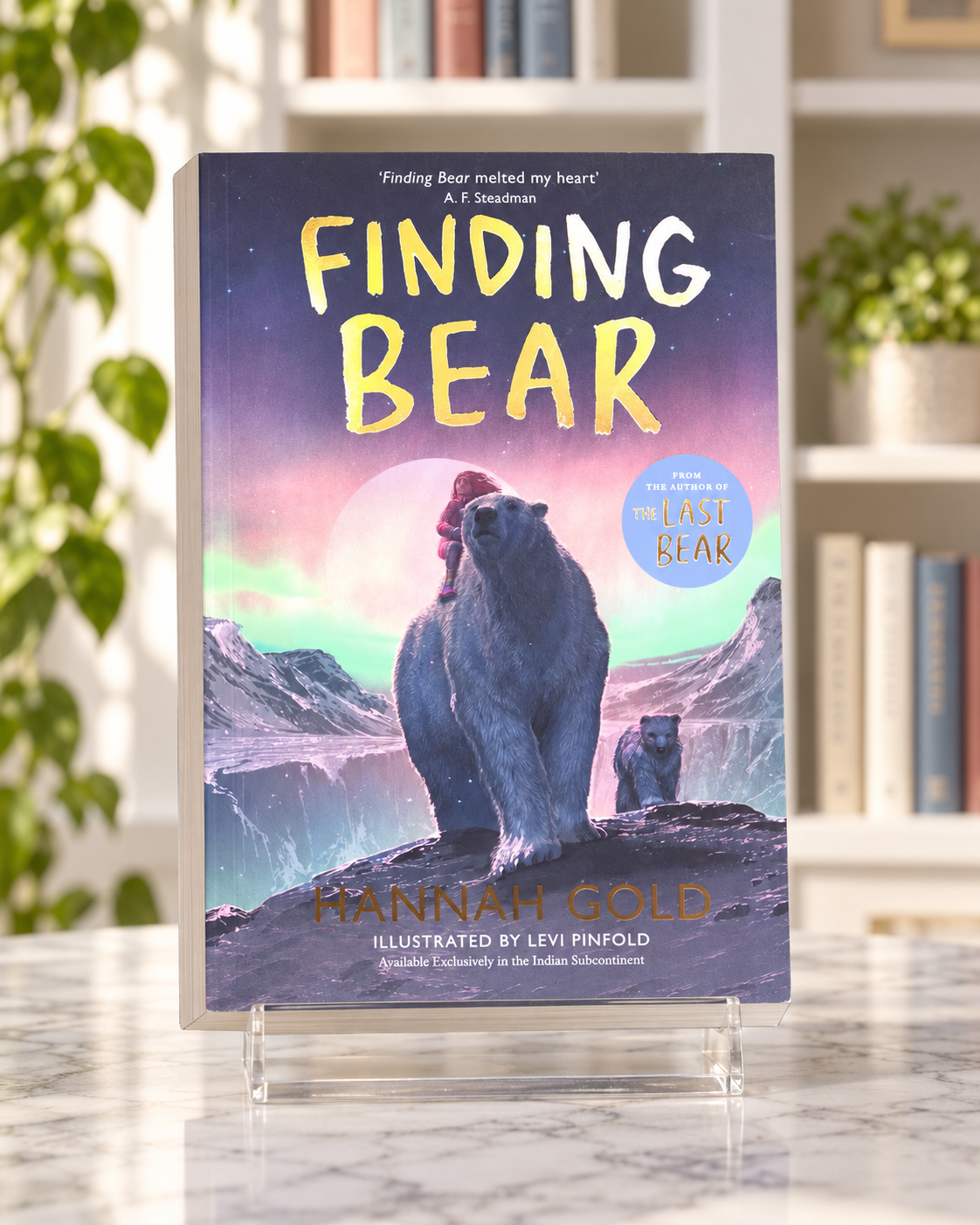 Finding Bear paperback novel, front cover