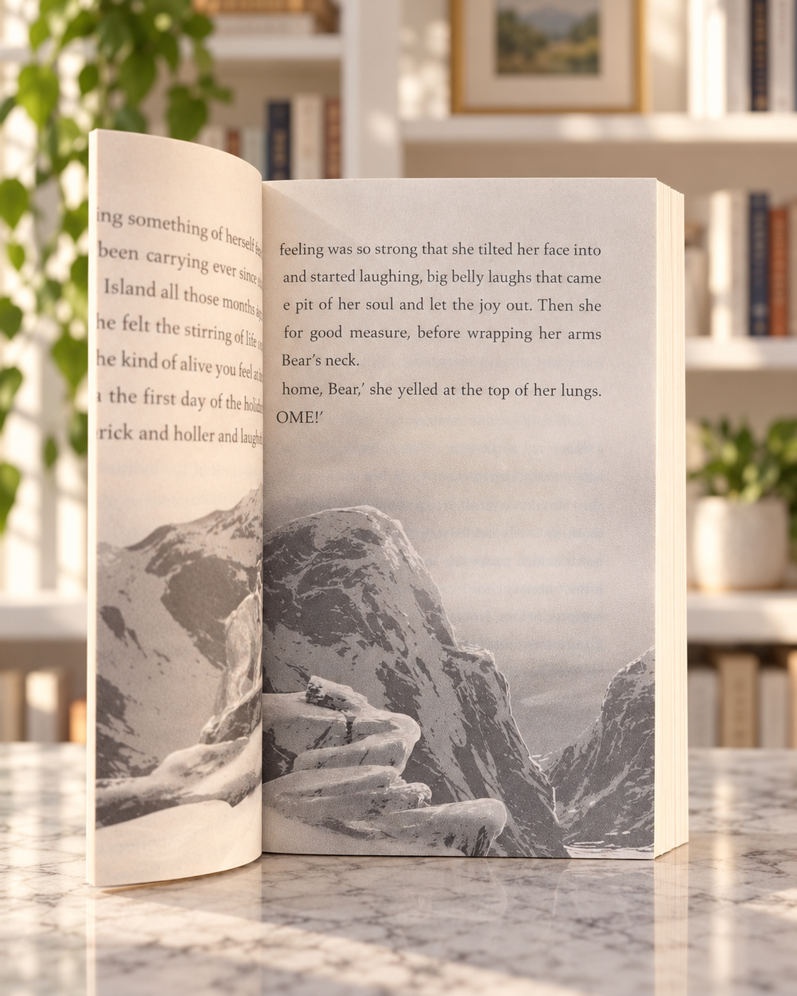 Finding Bear, inside pages with an Arctic illustration