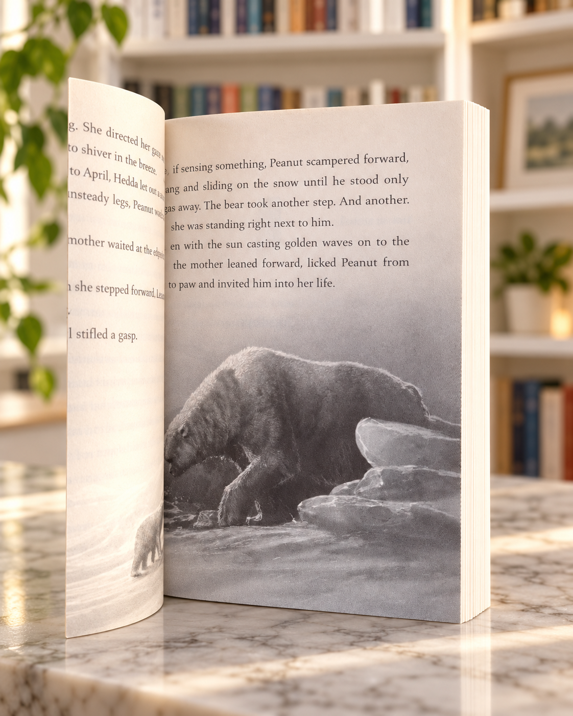 Finding Bear, inside pages with a polar bear illustration