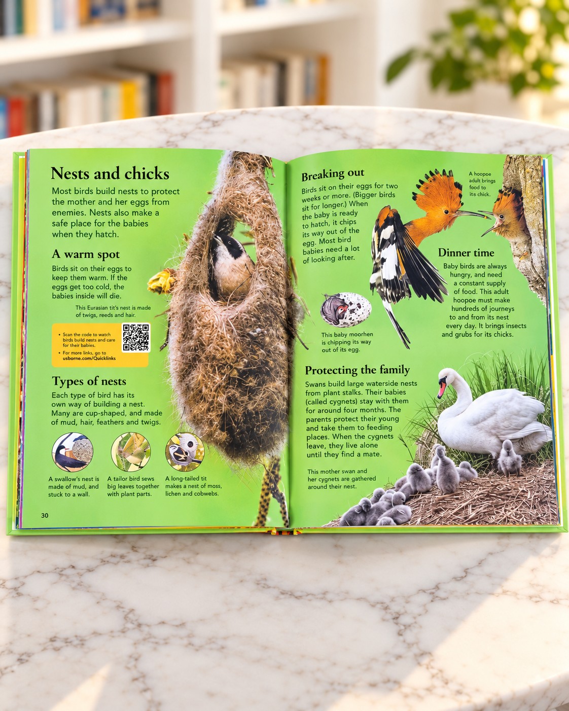 First Encyclopedia of Animals, inside pages 2