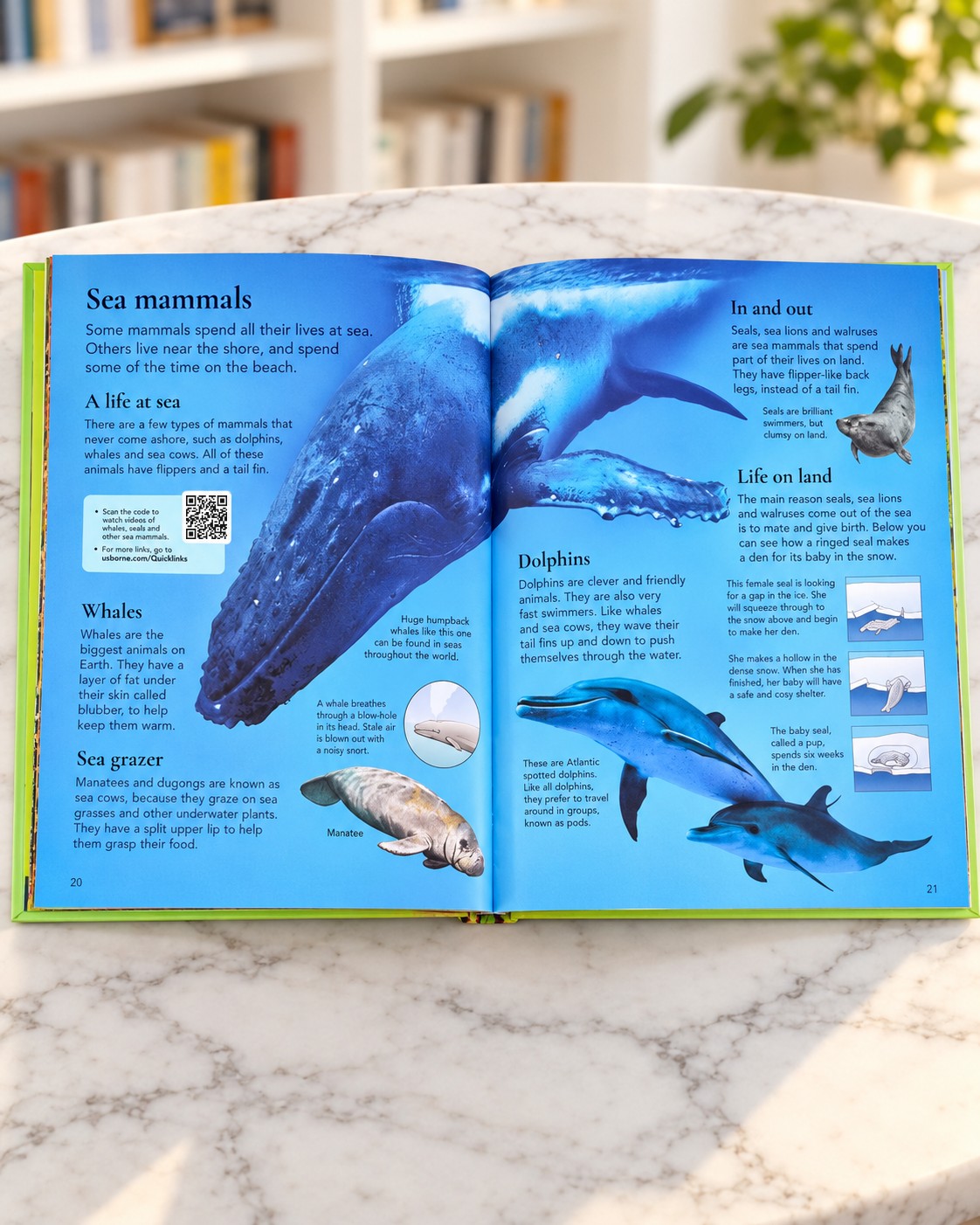 First Encyclopedia of Animals, inside pages 1