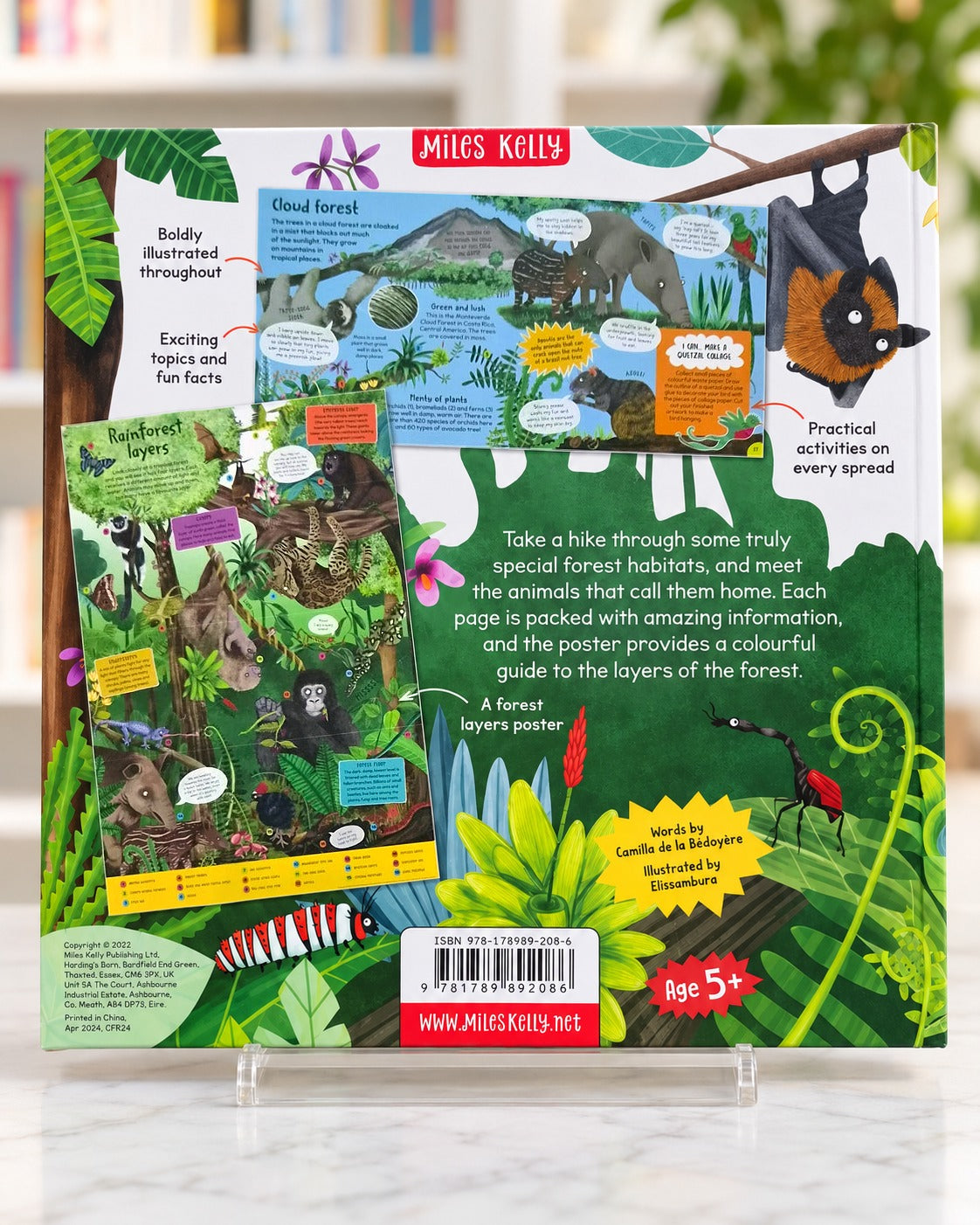 First Rainforest Book, back cover
