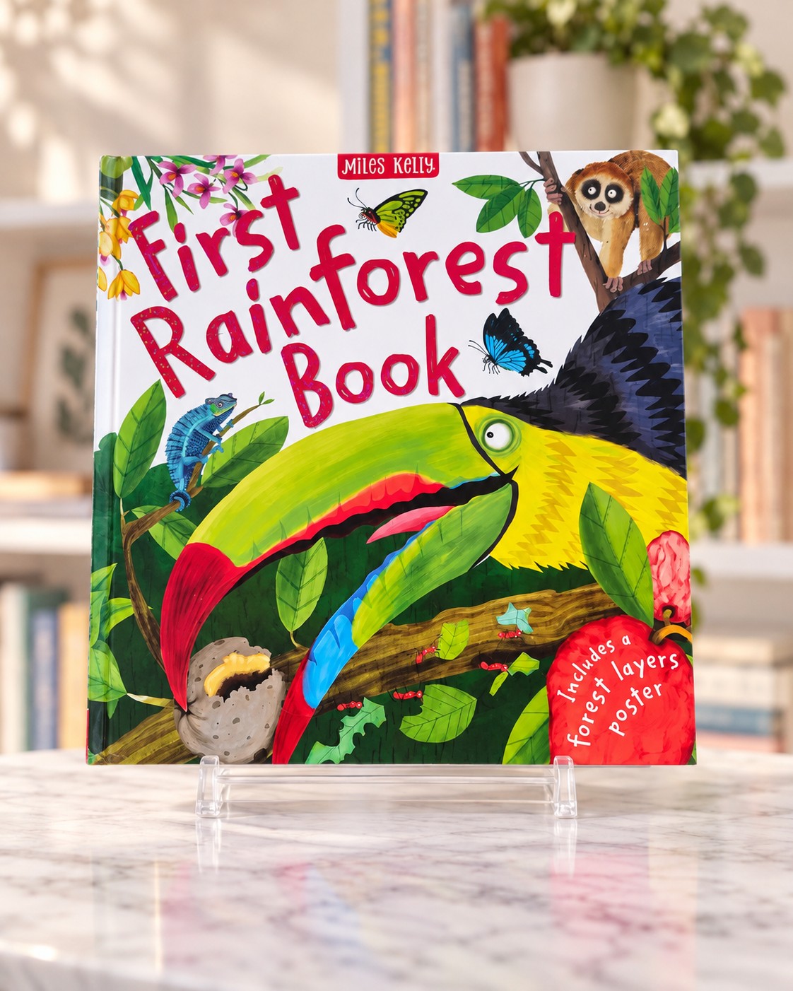 First Rainforest Book, front cover
