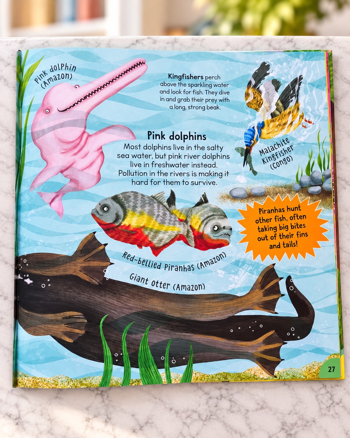 First Rainforest Book, inside page 2