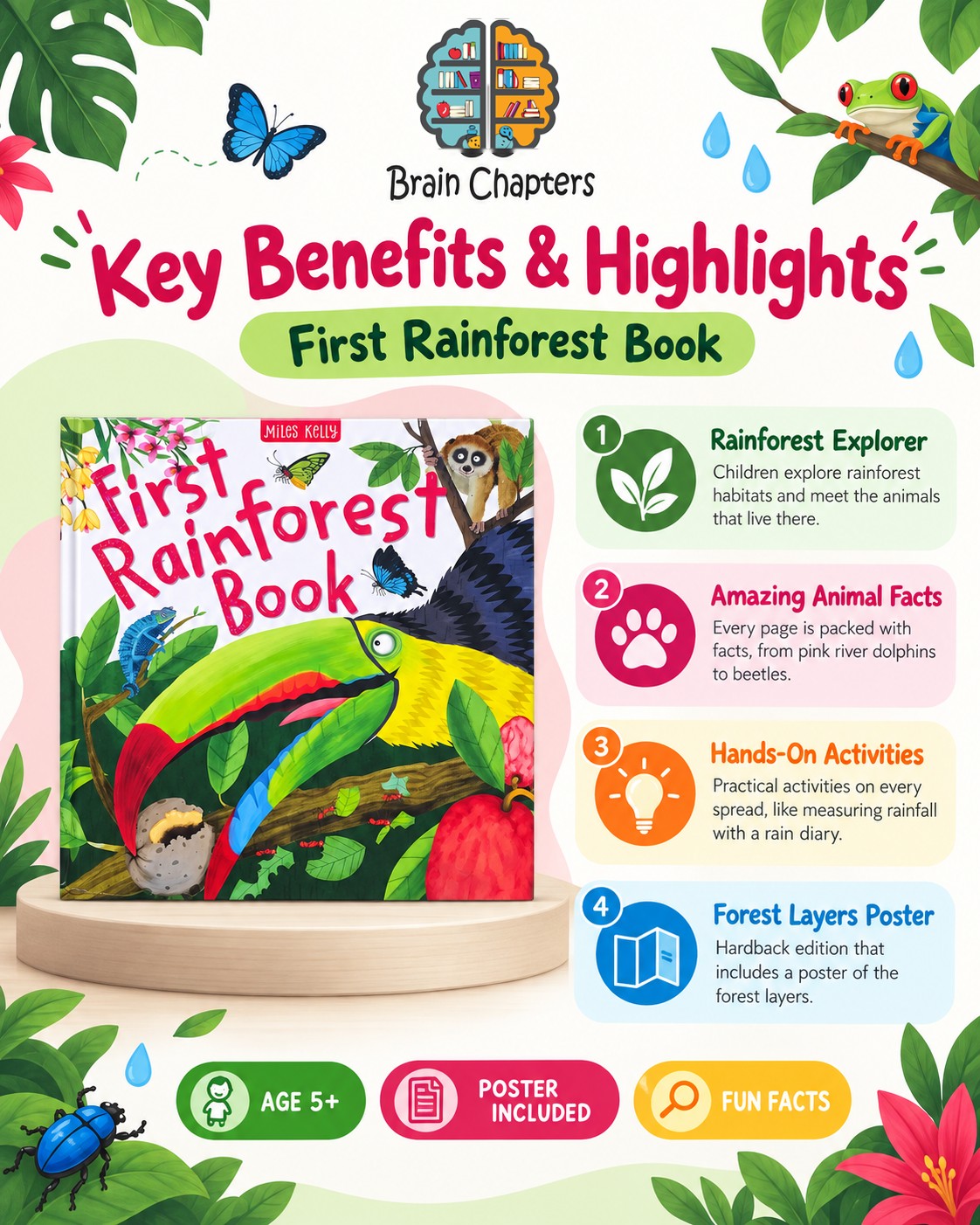 Key benefits and highlights of First Rainforest Book