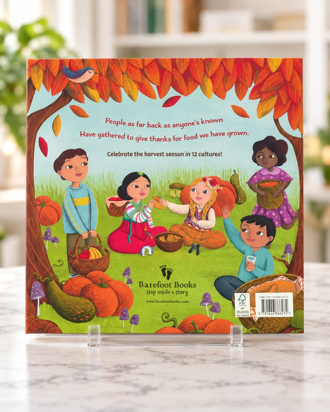 Harvest Days - Giving Thanks Around the World, back cover