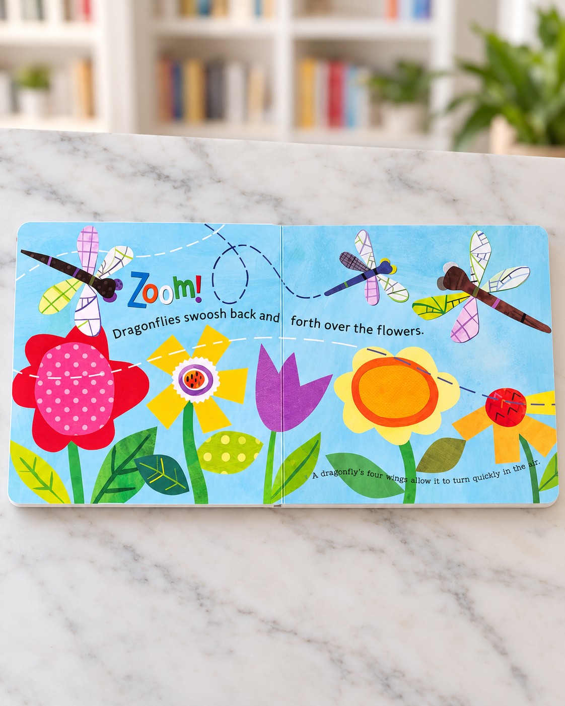 Hello, World! Backyard Bugs, inside pages 1