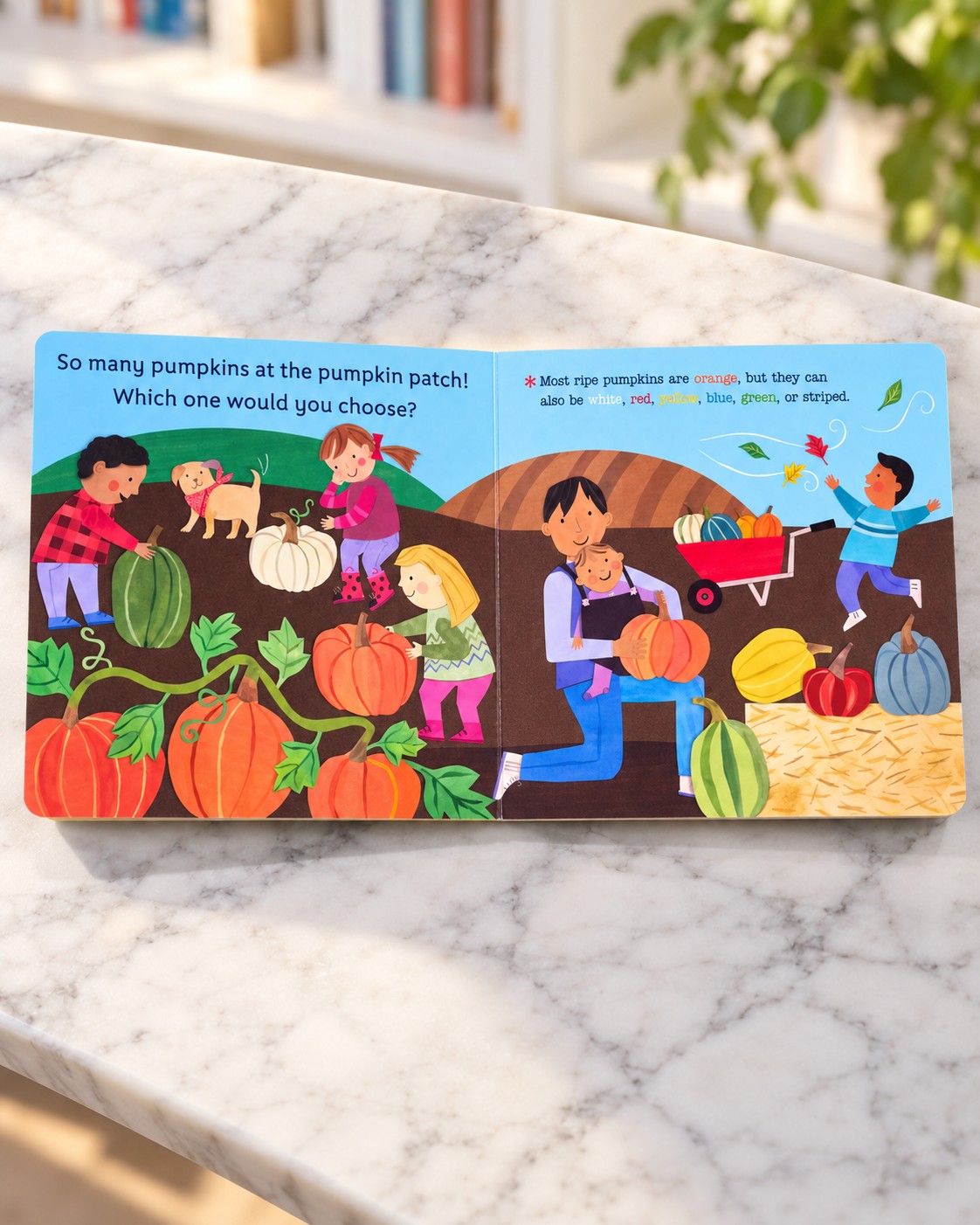 Hello, World! From Seed to Pumpkin, inside pages 1