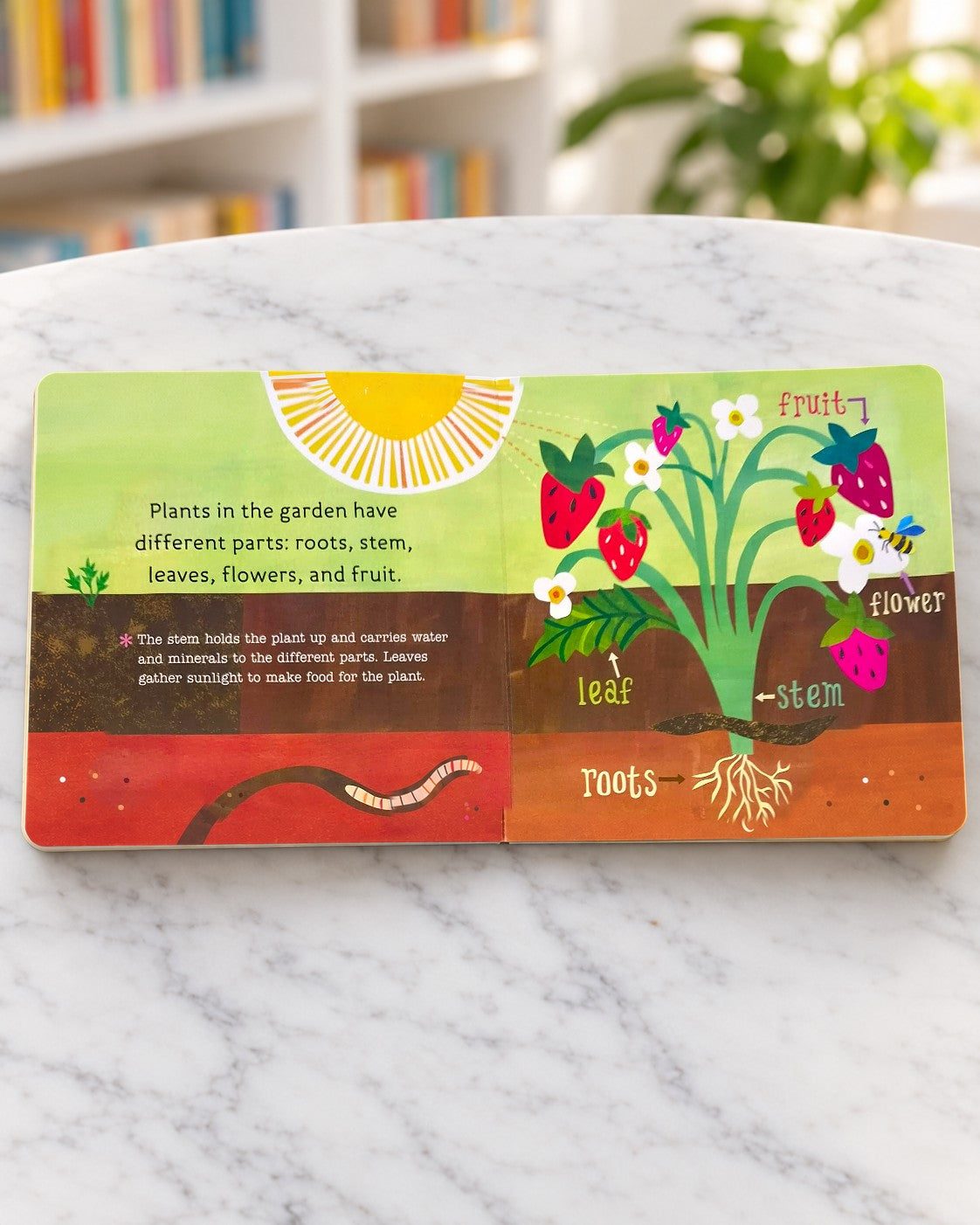 Hello, World! Garden Time, inside pages 1