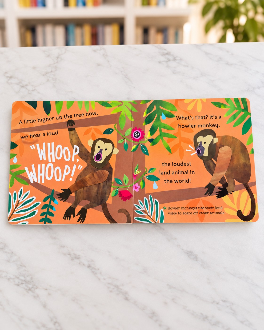 Hello, World! Rainforest Animals, inside pages 2