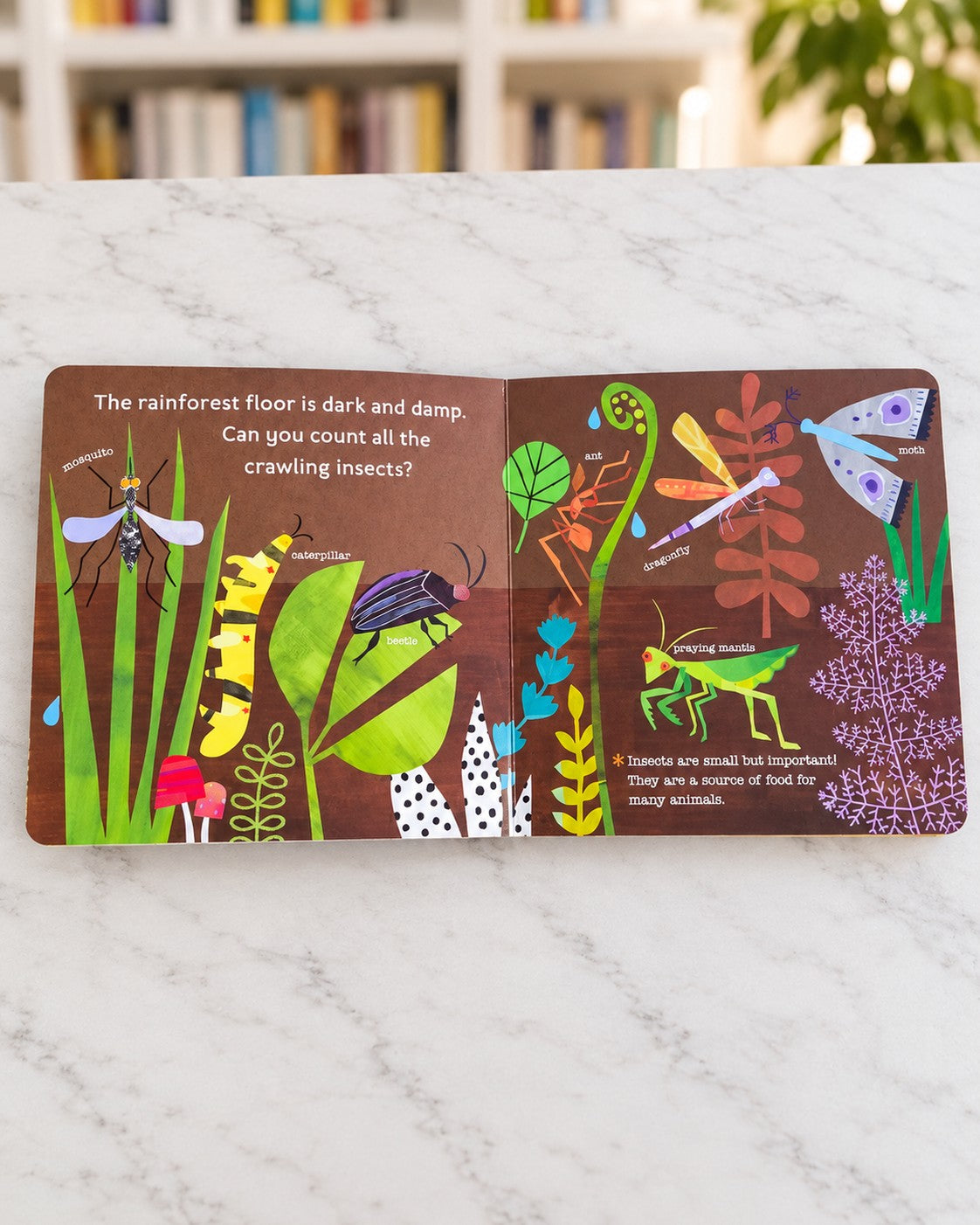 Hello, World! Rainforest Animals, inside pages 1