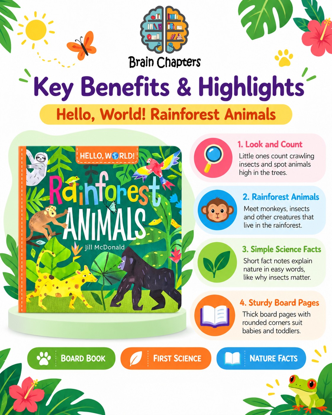Key benefits and highlights of Hello, World! Rainforest Animals