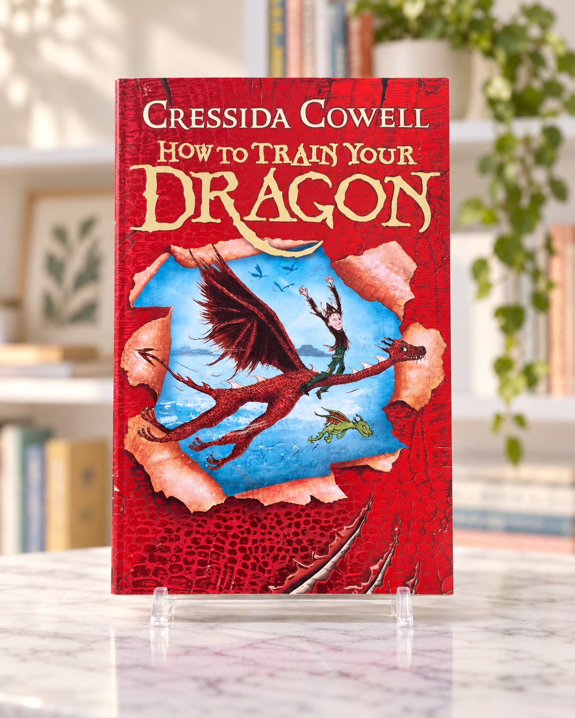How to Train Your Dragon, front cover