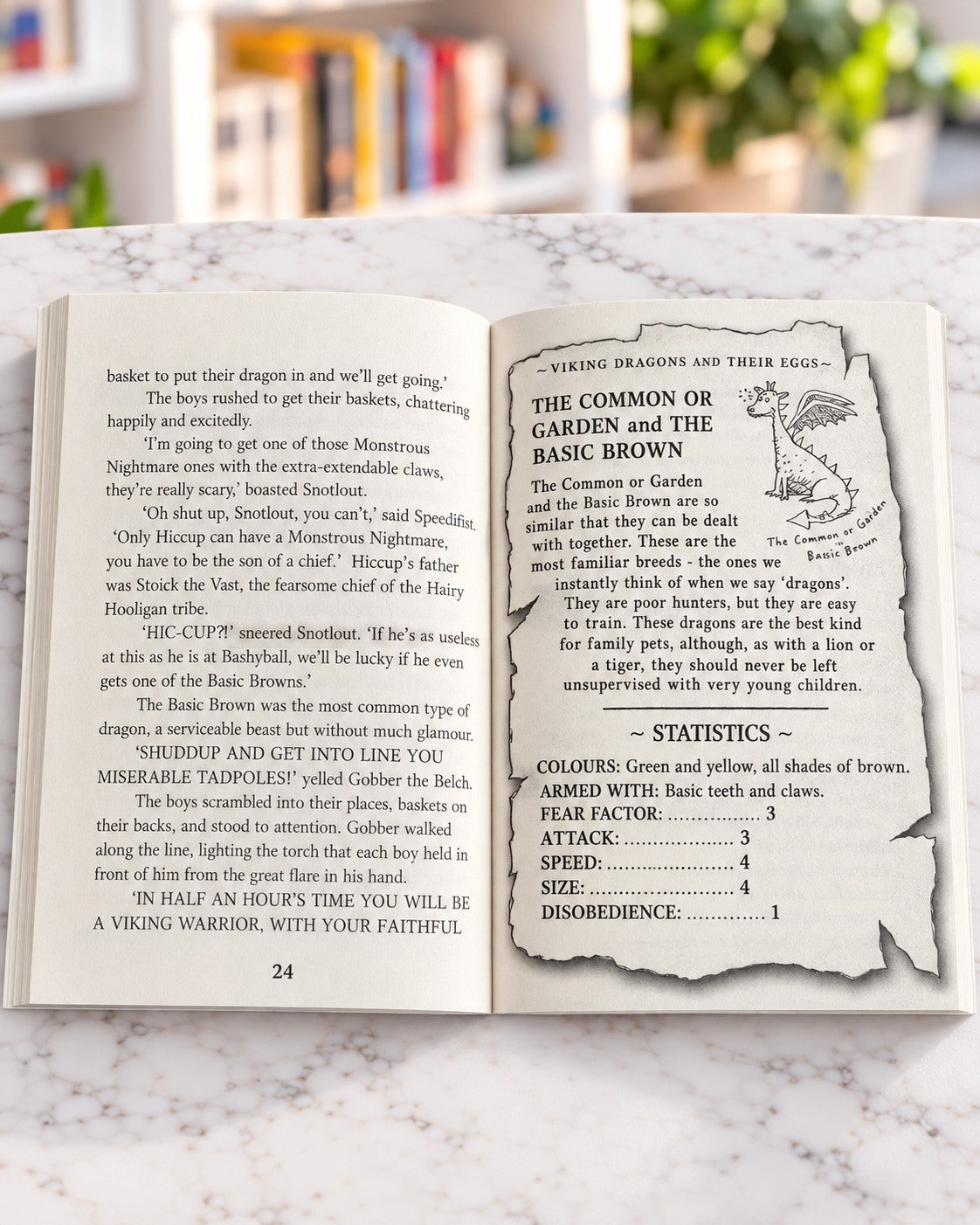 How to Train Your Dragon, inside pages 1