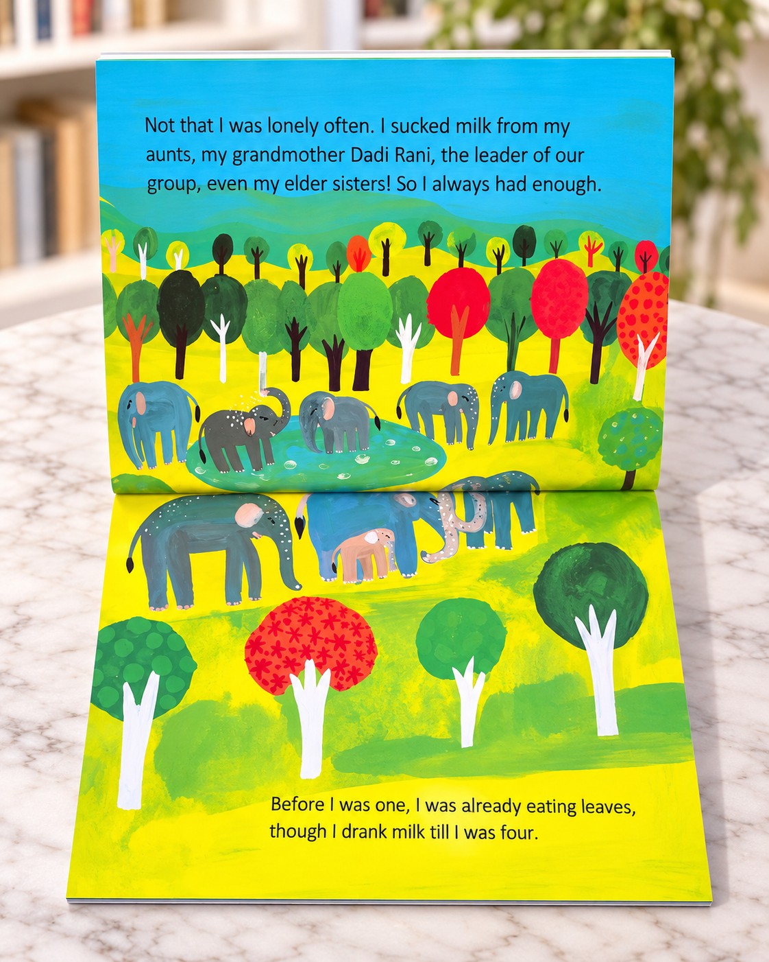 I am Aan, inside pages 2
