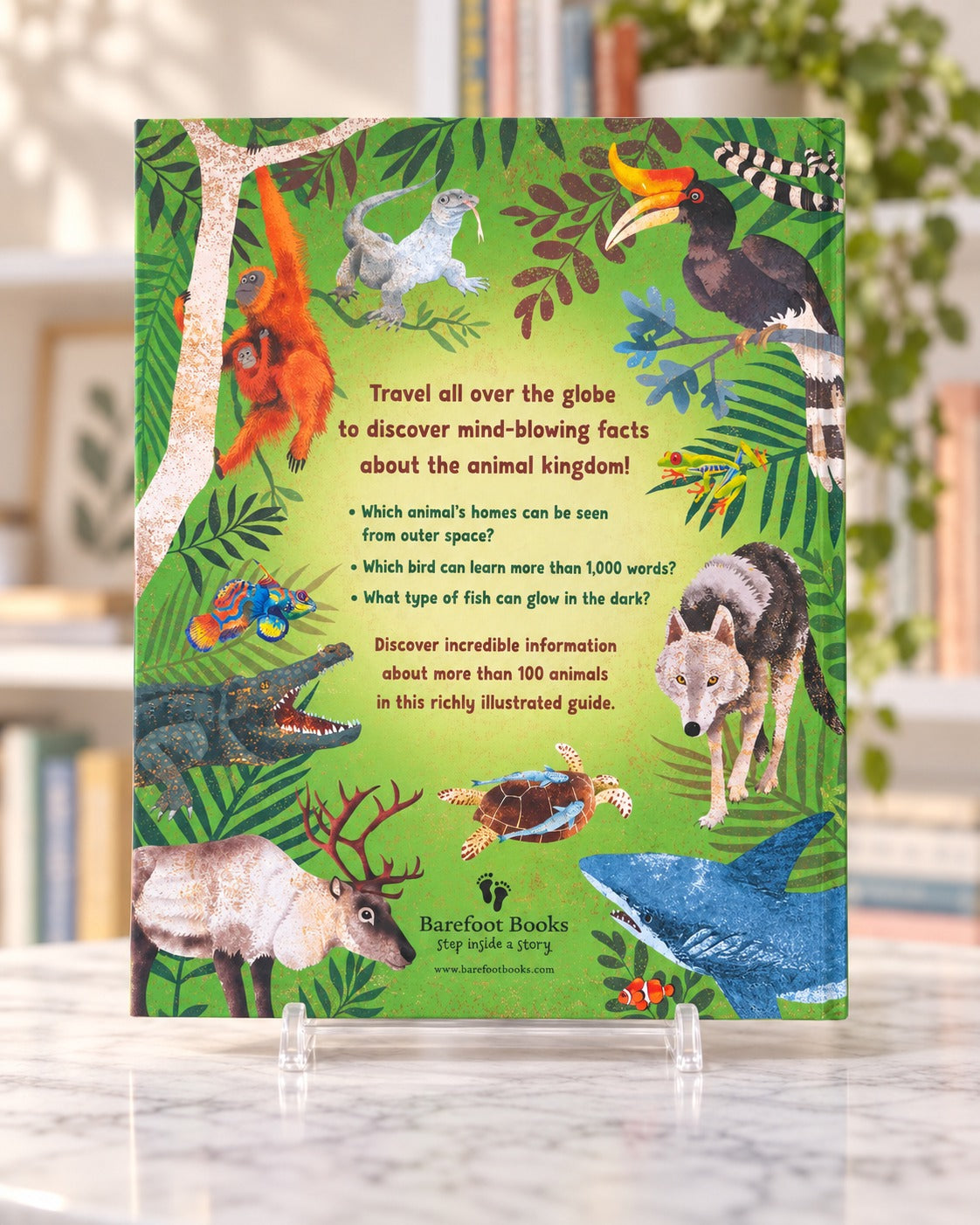 Incredible Animals, back cover
