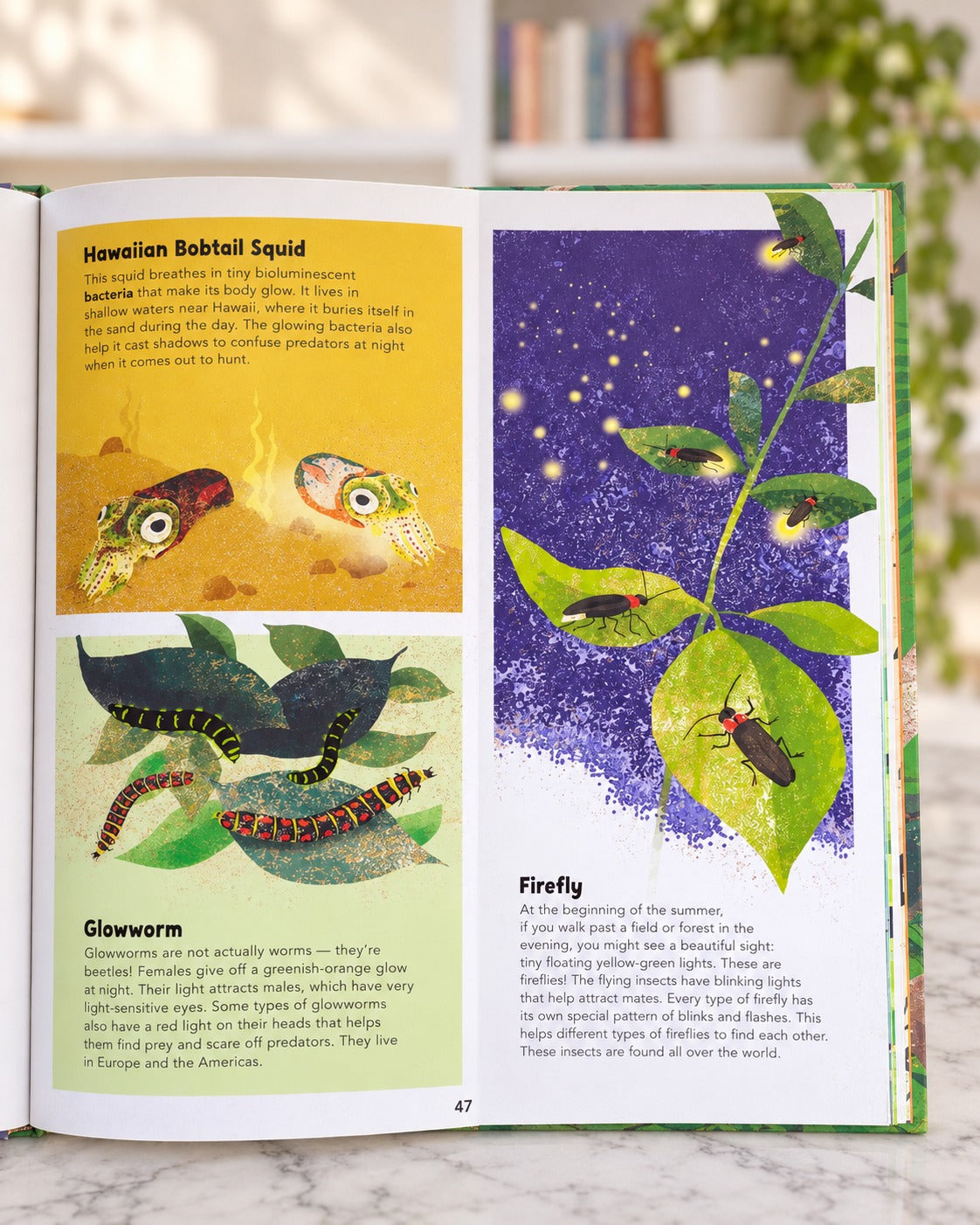 Incredible Animals, inside pages