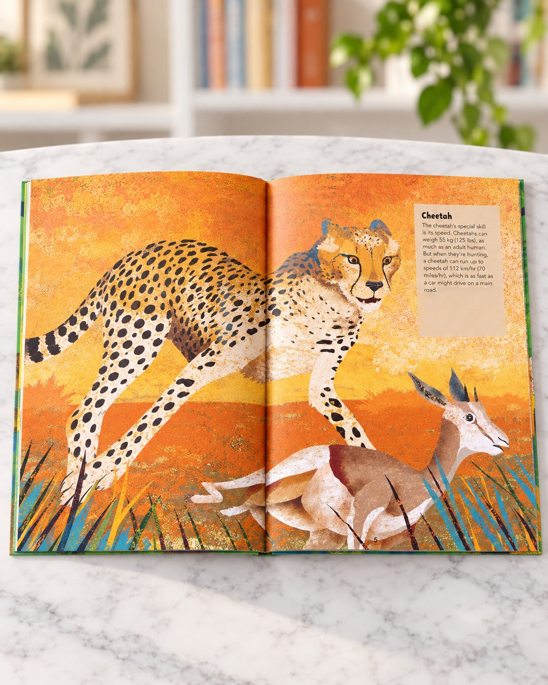 Incredible Animals, inside pages