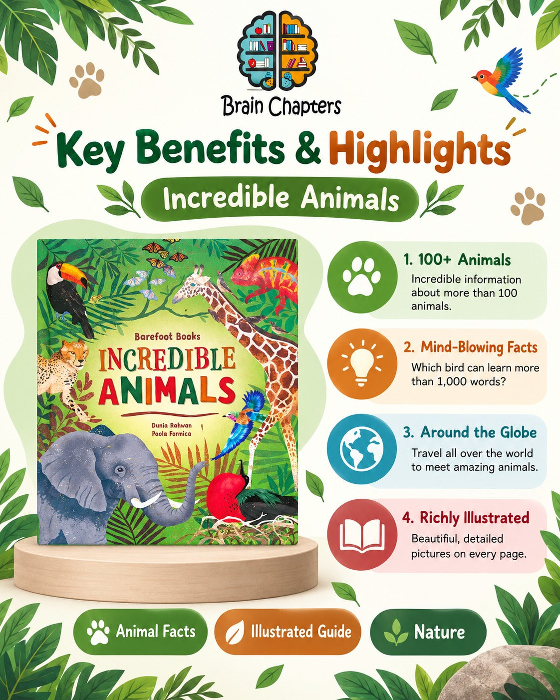 Key benefits and highlights of Incredible Animals