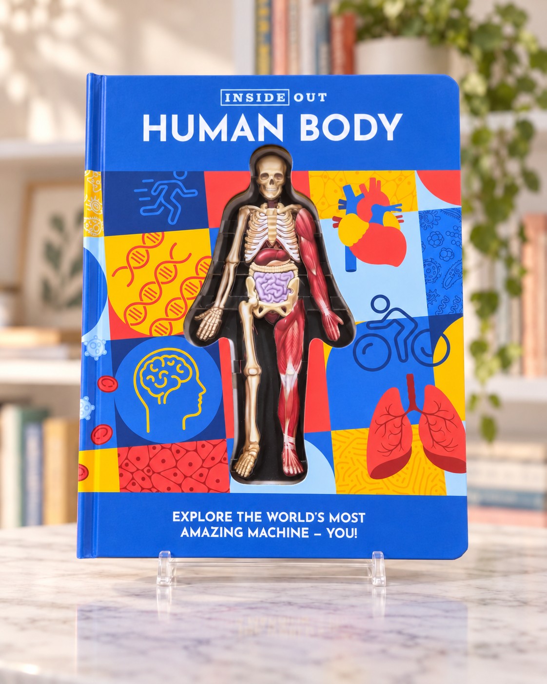Inside Out Human Body, front cover