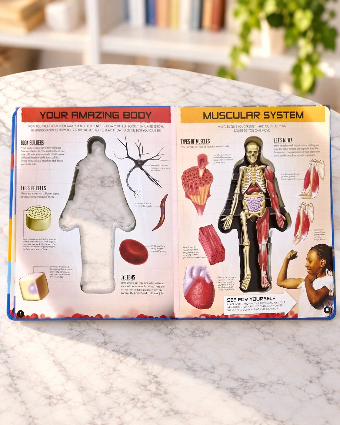 Inside Out Human Body, inside pages 1