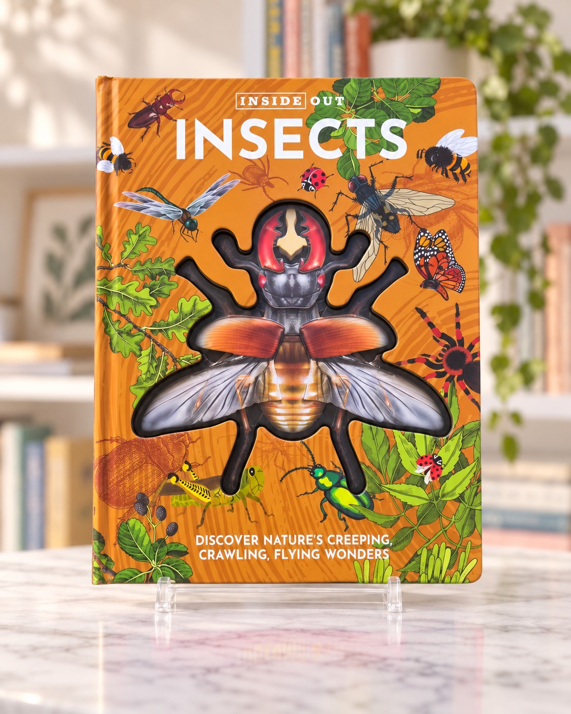Inside Out Insects, front cover