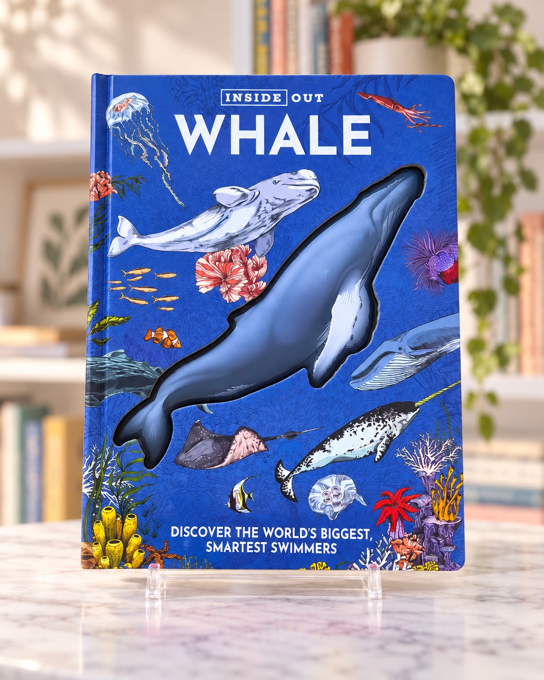 Inside Out Whale, front cover