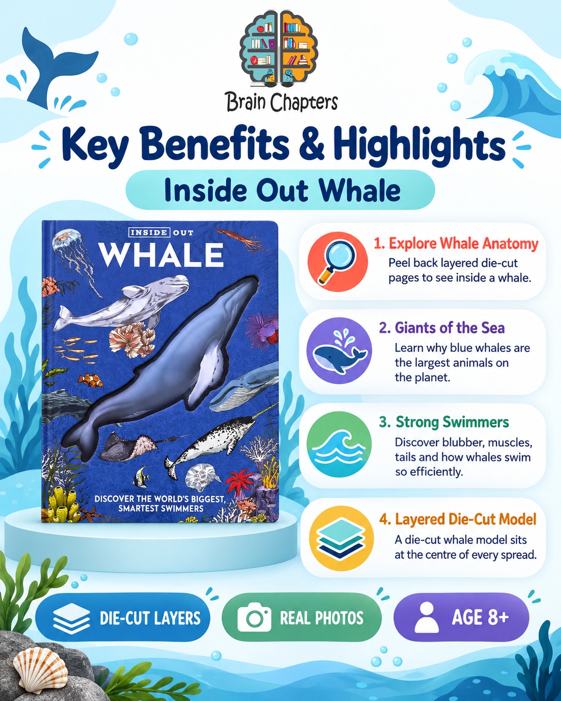 Key benefits and highlights of Inside Out Whale