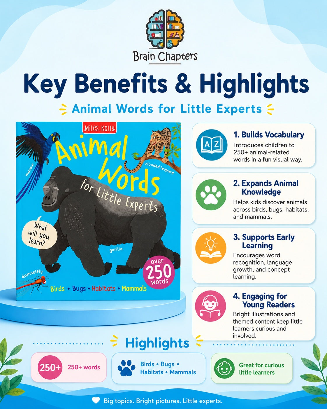 Key benefits and highlights of Little Experts: Animal Words