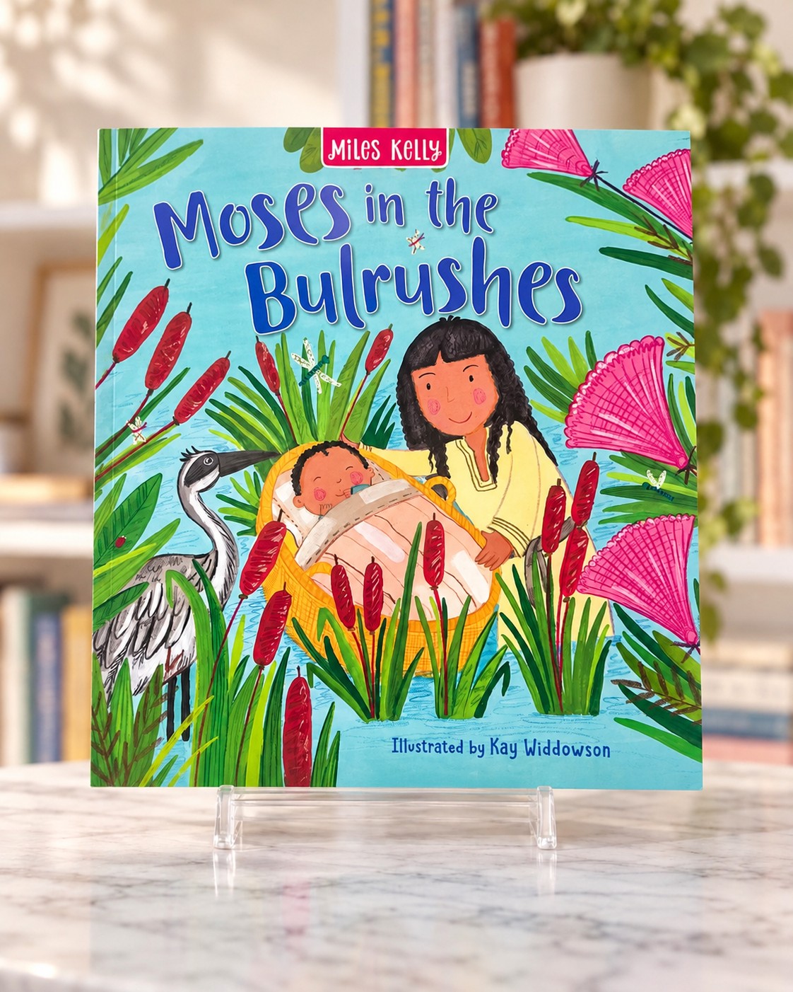 Moses in the Bulrushes, front cover