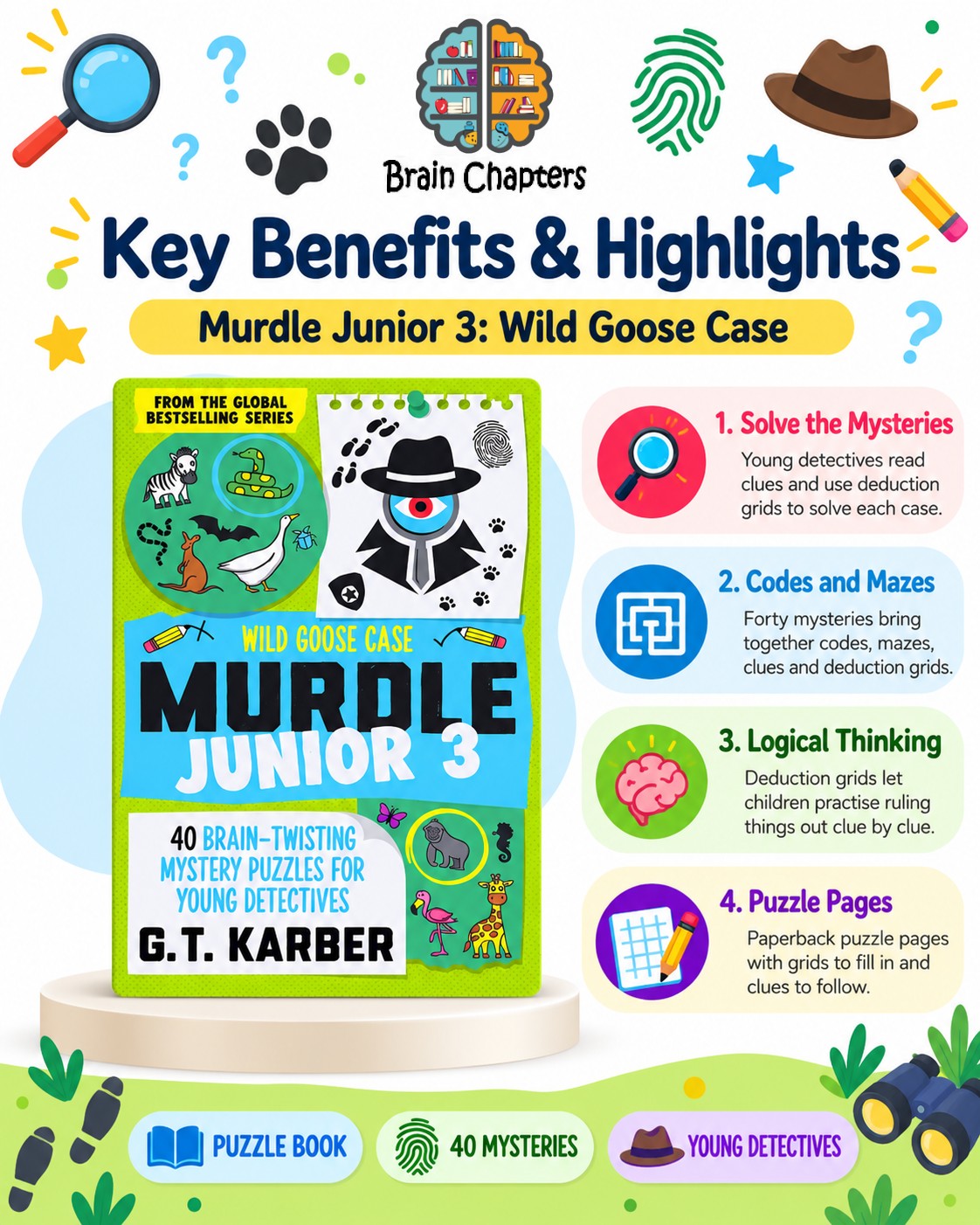 Key benefits and highlights of Murdle Junior 3: Wild Goose Case