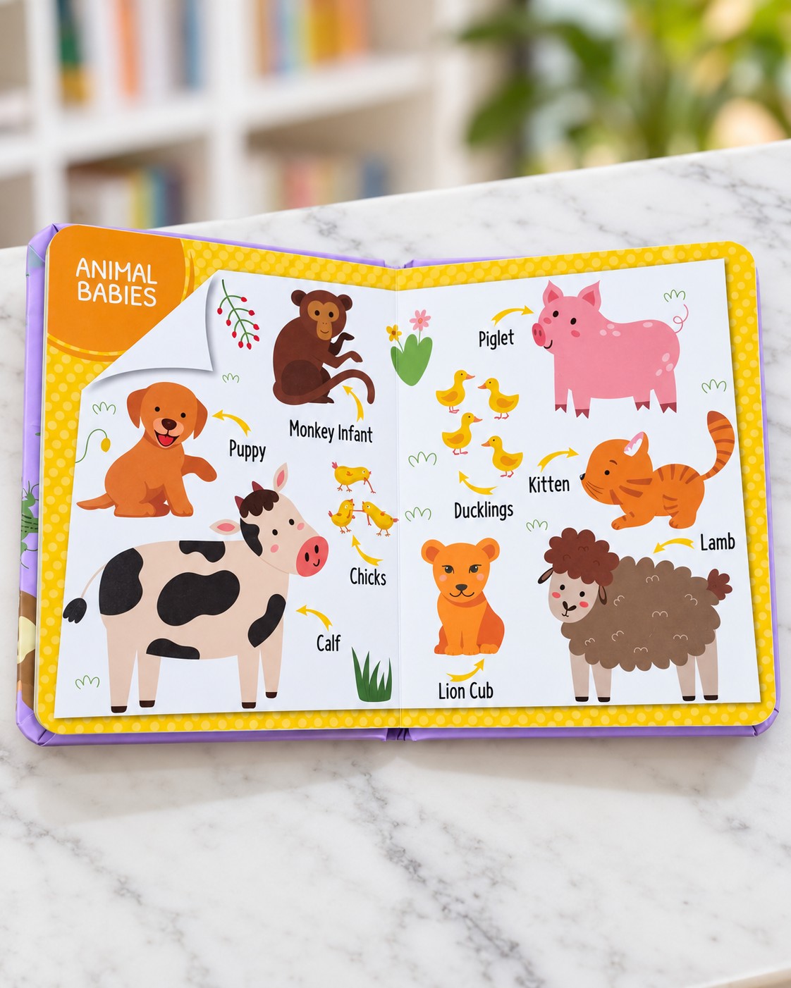 My First 100 Animals, inside pages 2