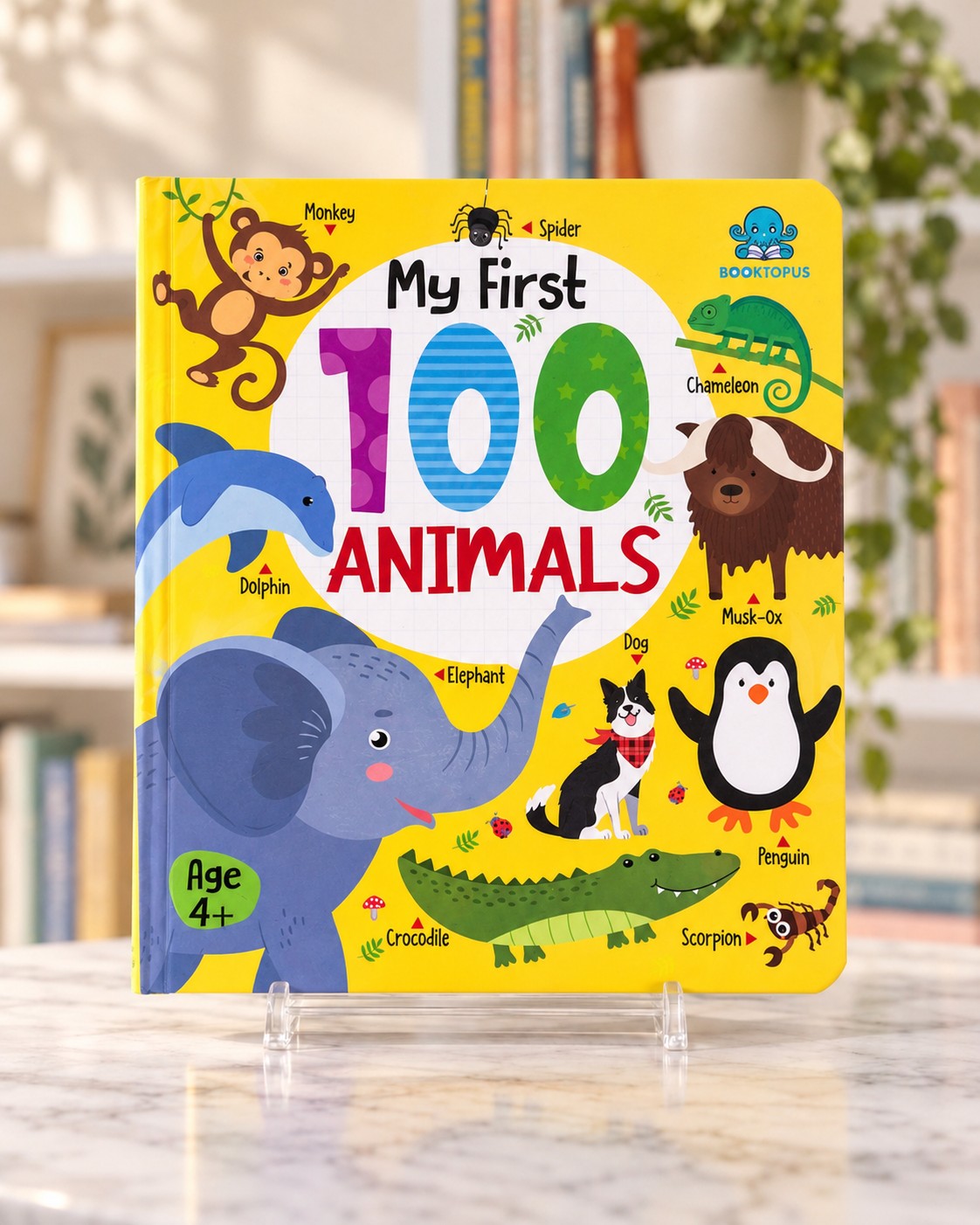 My First 100 Animals, front cover