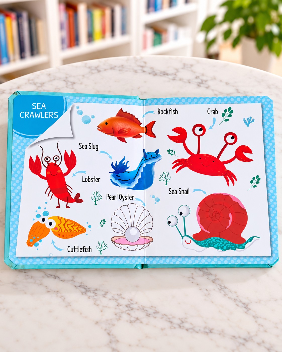 My First 100 Things Under The Sea, inside pages 1