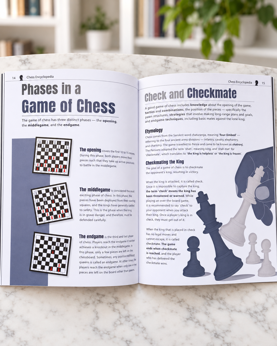 My Very First Chess Encyclopedia, inside spread on the phases of a game and checkmate
